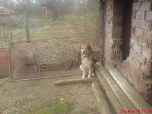 Прикачена снимка
