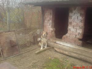 Прикачена снимка
