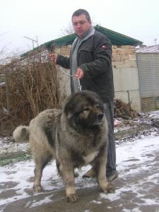 Прикачена снимка