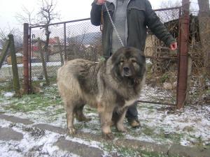 Прикачена снимка