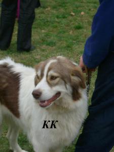 Прикачена снимка