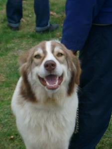 Прикачена снимка