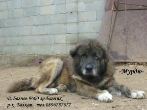 Прикачена снимка