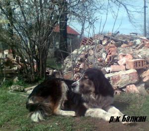 Прикачена снимка