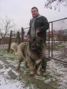 Прикачена снимка