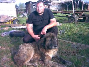Прикачена снимка