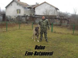 Прикачена снимка