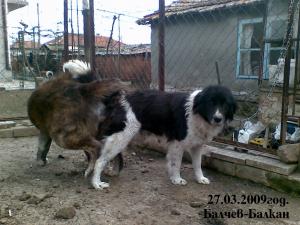 Прикачена снимка