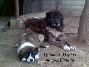Прикачена снимка