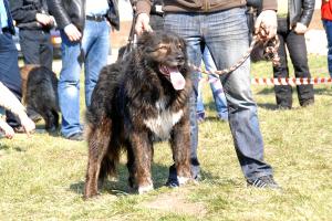 Прикачена снимка