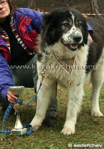 Прикачена снимка