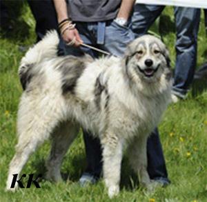 Прикачена снимка