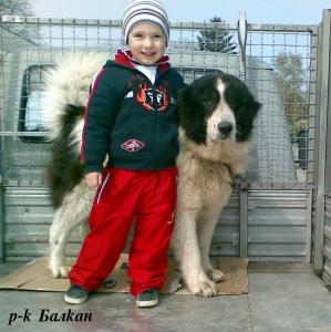 Прикачена снимка