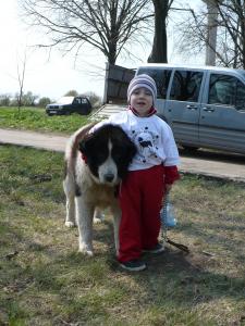 Прикачена снимка