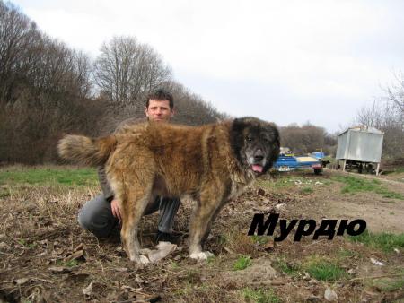 Прикачена снимка