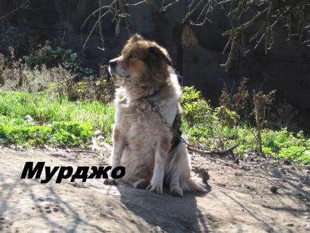 Прикачена снимка