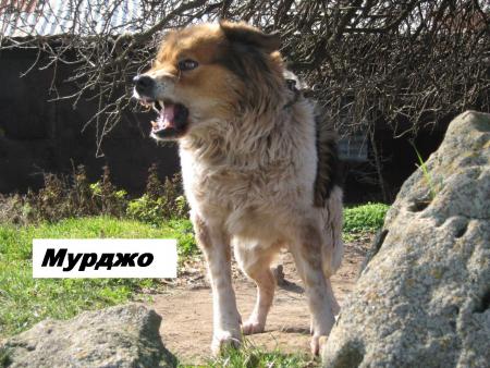 Прикачена снимка