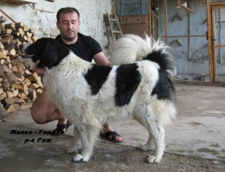 Прикачена снимка