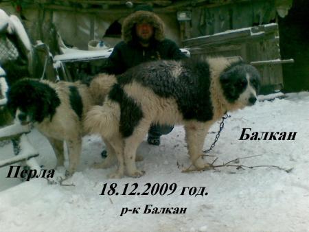 Прикачена снимка