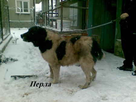 Прикачена снимка