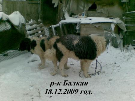Прикачена снимка