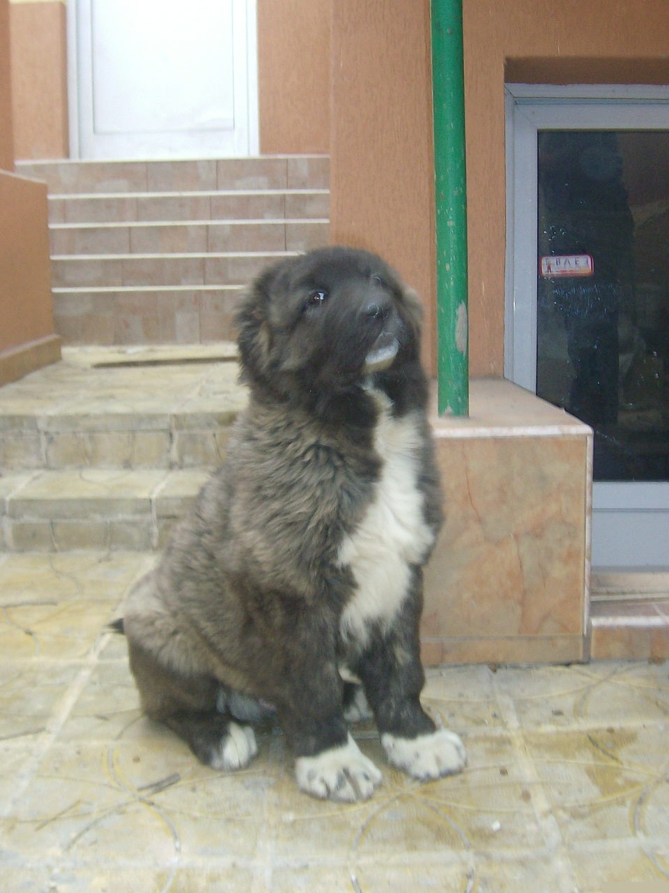 Прикачена снимка