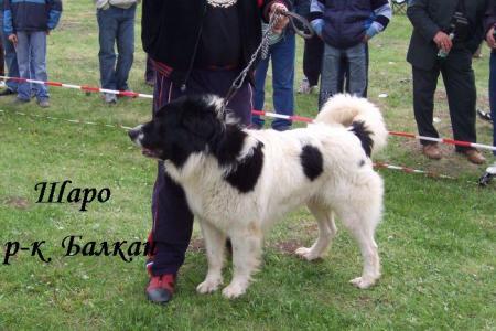 Прикачена снимка