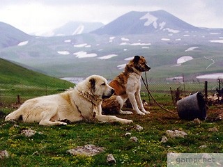 Прикачена снимка