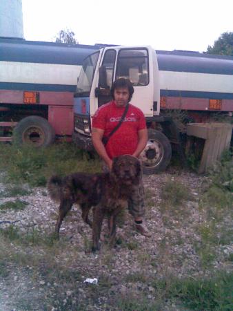 Прикачена снимка