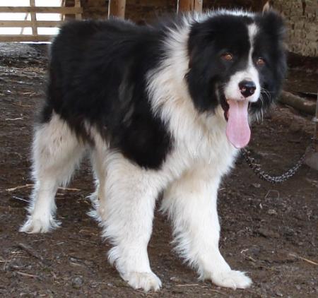 Прикачена снимка