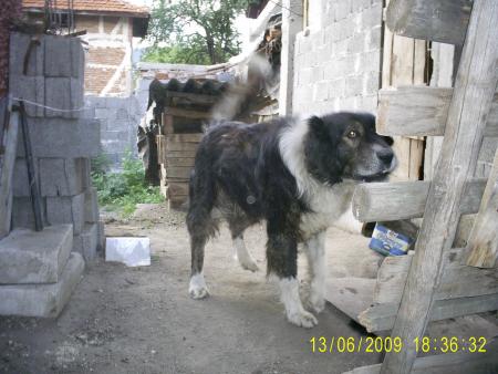 Прикачена снимка