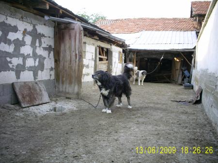 Прикачена снимка
