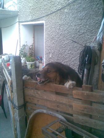 Прикачена снимка