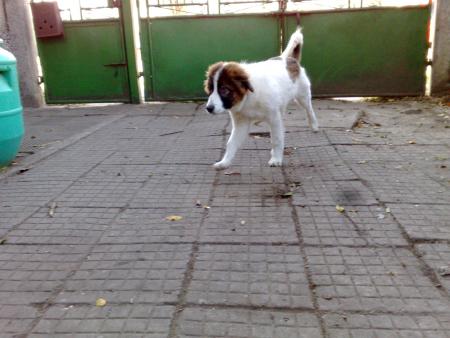 Прикачена снимка