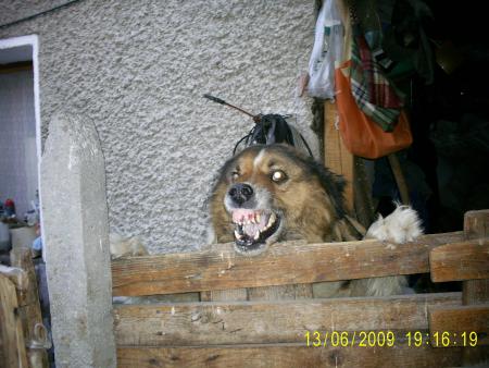 Прикачена снимка