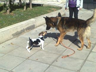 Прикачена снимка