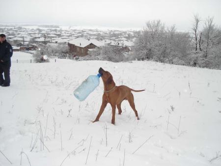 Прикачена снимка