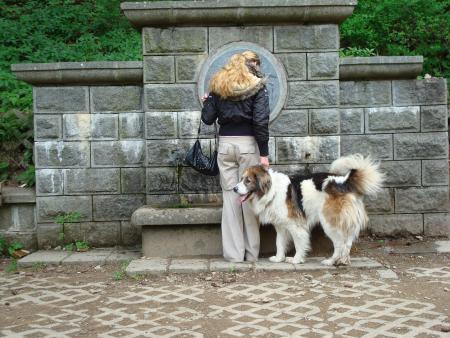 Прикачена снимка