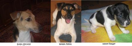 Прикачена снимка