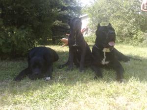 Прикачена снимка