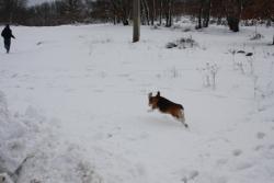 Прикачена снимка