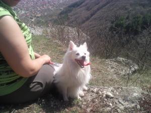Прикачена снимка