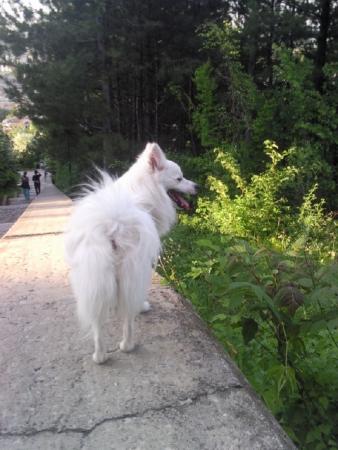 Прикачена снимка