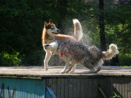 Прикачена снимка