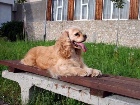 Прикачена снимка