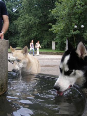 Прикачена снимка