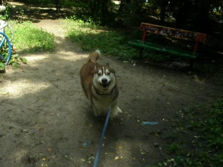 Прикачена снимка