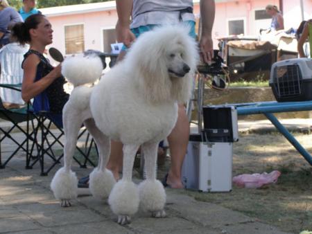 Прикачена снимка