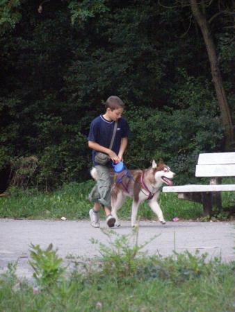Прикачена снимка