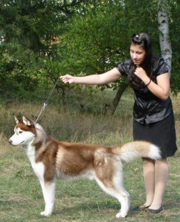 Прикачена снимка